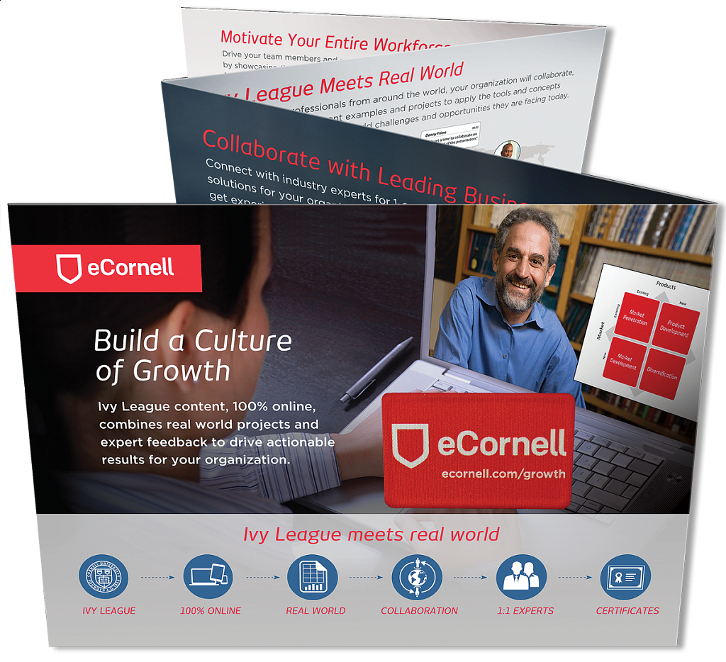eCornell Accordian Fold Brochure with DigiClean 